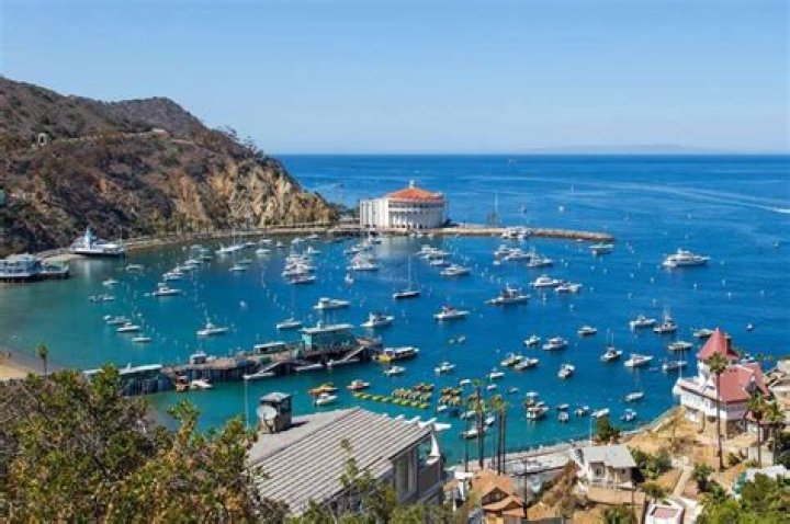 A Catalina Stoltz Kind of Escape: Unforgettable Moments on Catalina Island