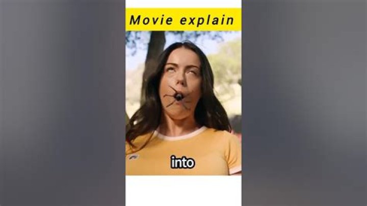 A Guide For Film Buffs