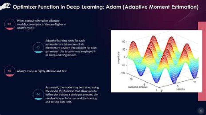 Adam Patrick Devine (The Optimizer): Understanding Deep Learning's Go-To Algorithm