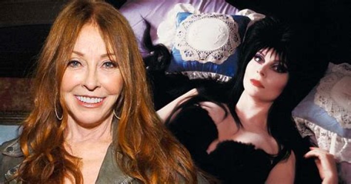 Casandra Peterson: The Unforgettable Woman Behind Elvira, Mistress of the Dark