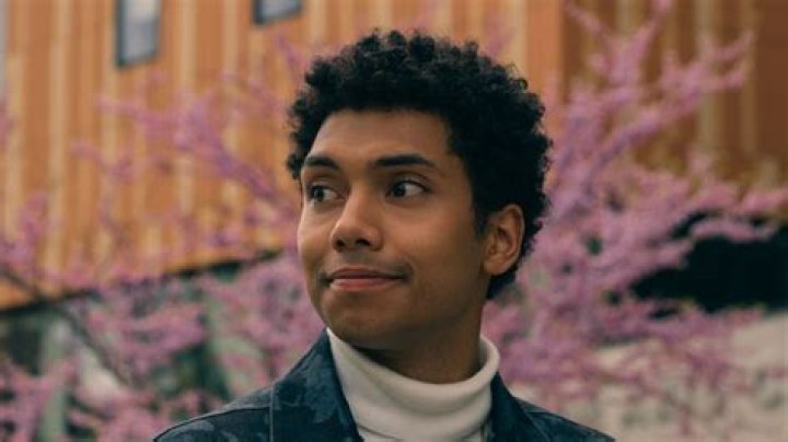 Daisy Bloom: A Look at a Beloved Flower and a Rising Star