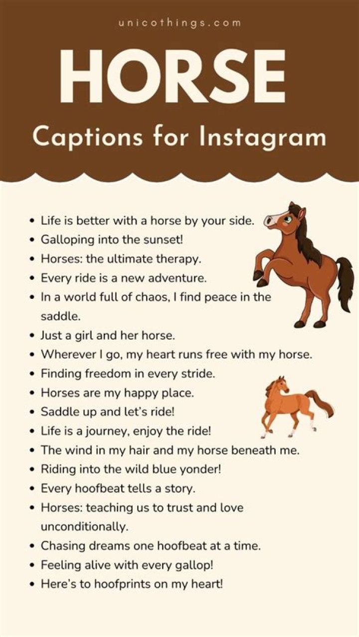 Discover Enchanting "Cute Horse Captions" For Unforgettable Content