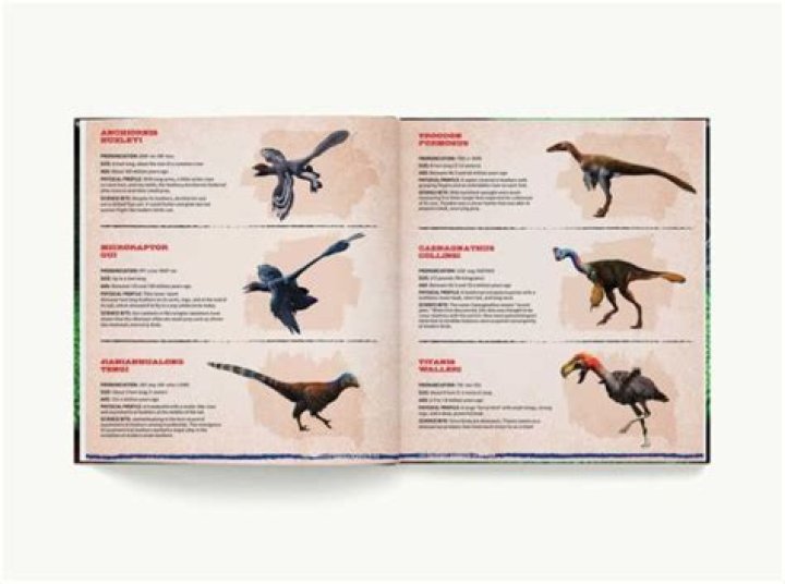 Discoveries From His Parents' Playbook