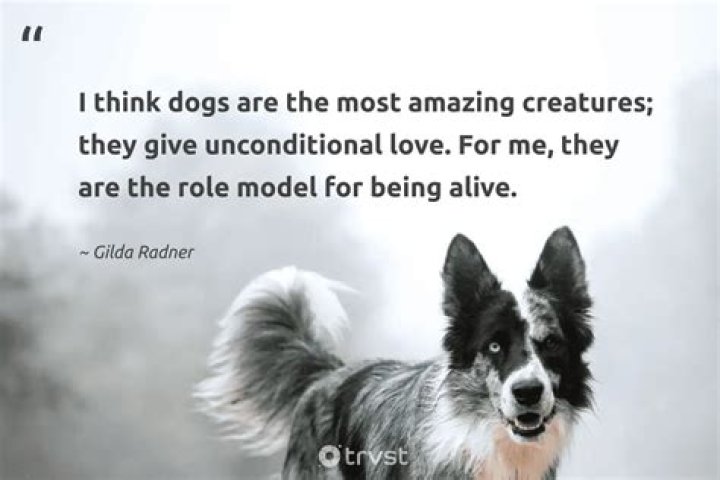 Discovering Clément Giraudet: More Than Just a Name