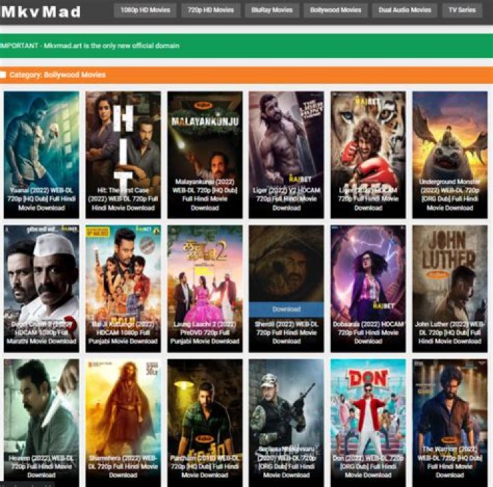 Dual Audio Movies: Your Guide to Enjoying Films in Multiple Languages