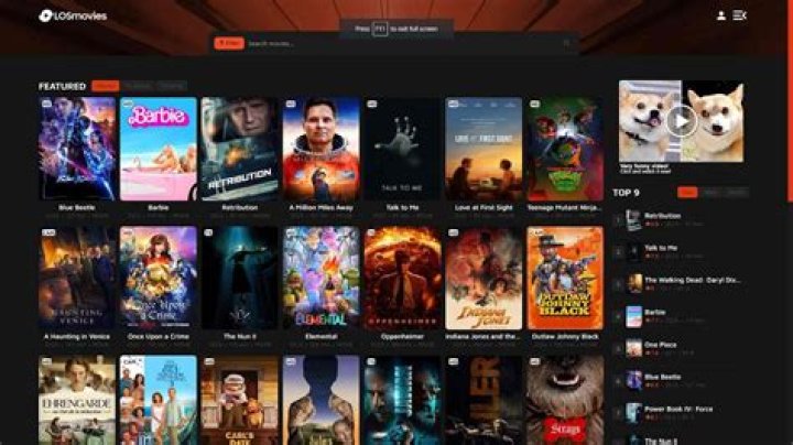 Explore Goojara and Its Top Alternatives for Free Streaming in 2025