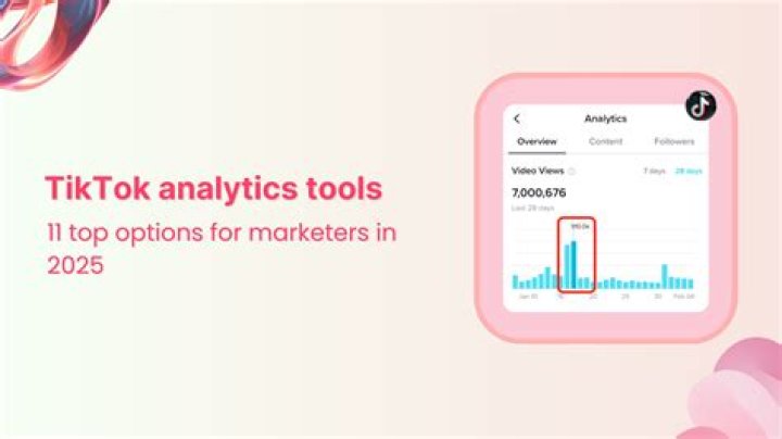 Exploring "Zefoy Like" Tools for TikTok Growth Today