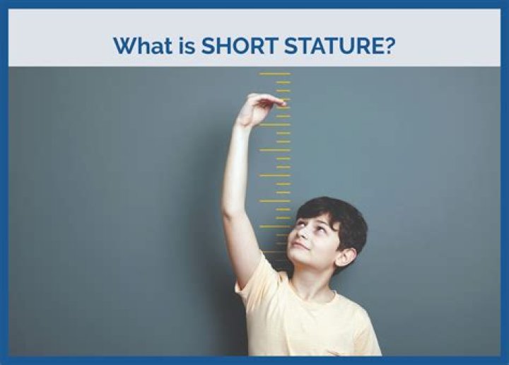 Exploring Kim Adams' Stature And Its Significance