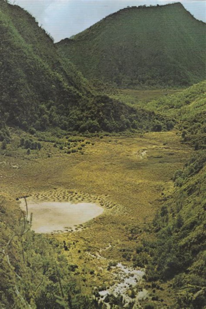 Exploring the Lasting Impact of Sid Haig, a True Screen Presence