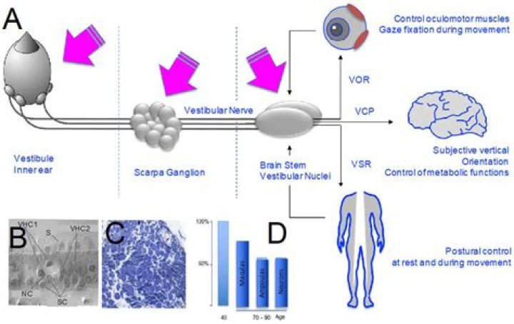 Exploring the Many Facets of 'Preet': Beyond Just a Search Term