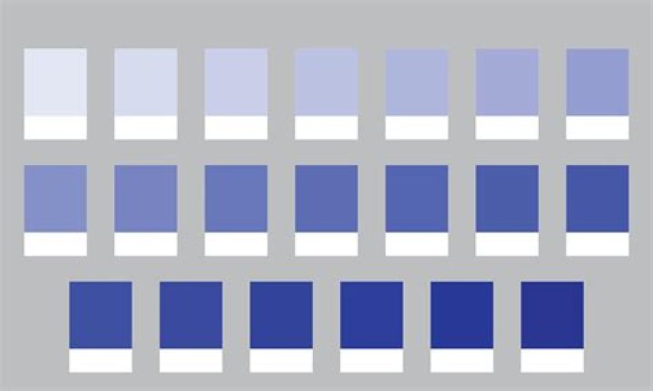 Exploring the Many Shades of Misty: What a Search for Misty Lonan Might Uncover