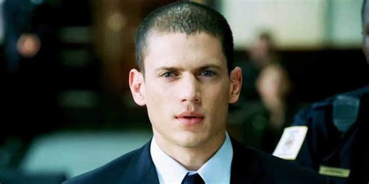 Exploring the Public Interest in Wentworth Miller's Personal Life