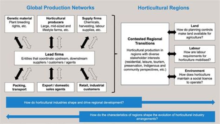 Insights Into Global Production Networks