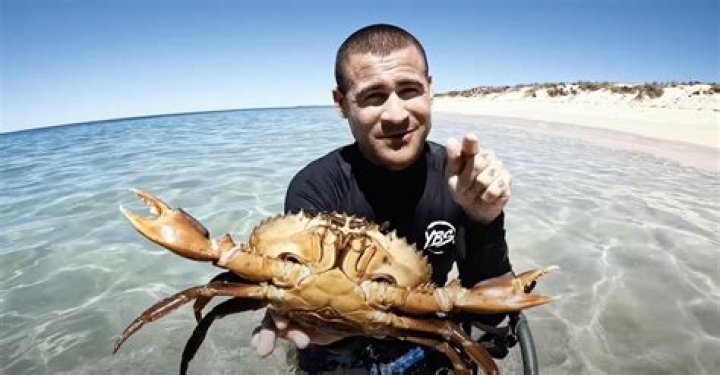 Is Brodie Moss Still Alive? Uncovering the Truth About the YBS Youngbloods Adventurer