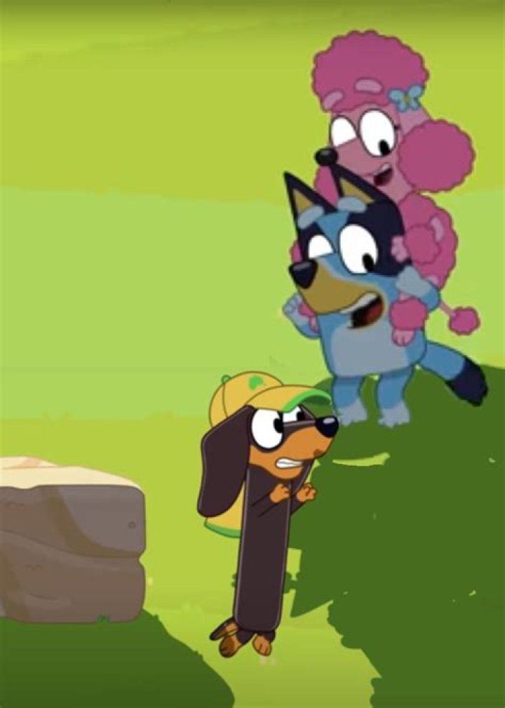 Nina Cola: Discovering the Playful Persona Behind the Screens