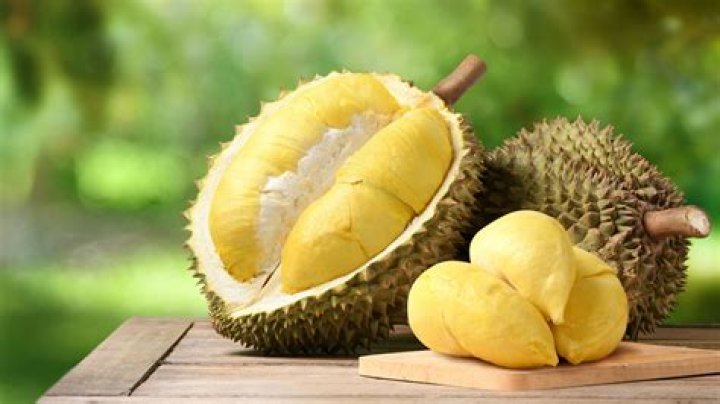 Seth Adeen's Secrets For Durian Success