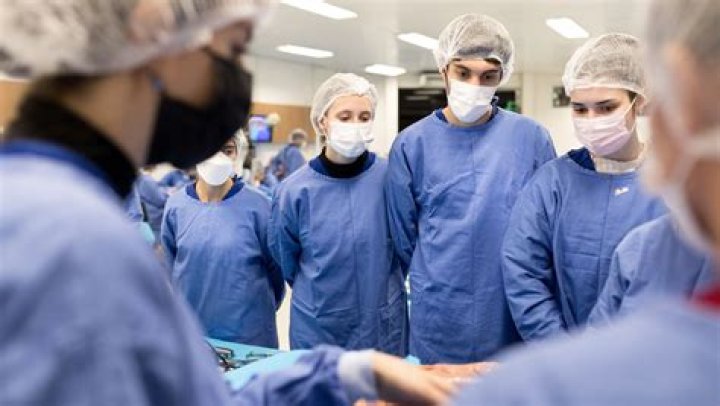 Shootashellz Autopsy, Insights And Discoveries Exposed