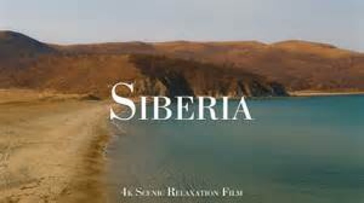 Sia Siberia: Exploring the Online Persona and Her Vibrant Communities