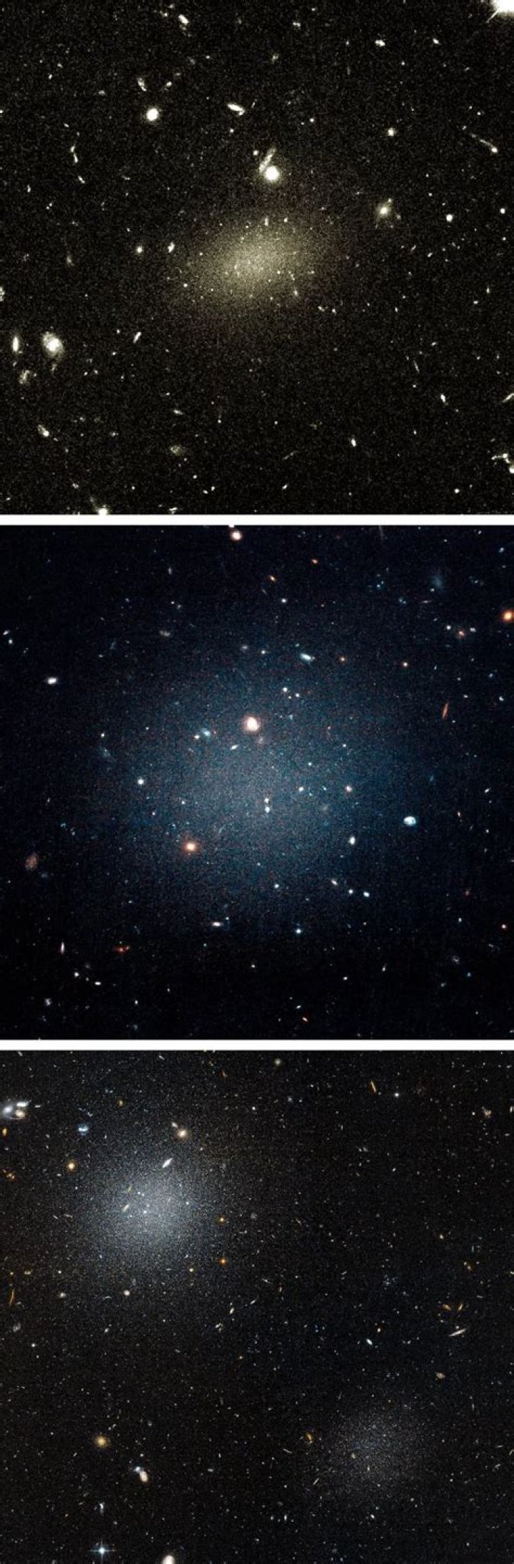 The Enduring Mystery of Faye Regan: What Happened After Georgja Jones?