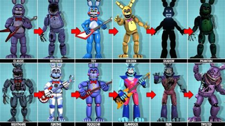 Understanding bonniebruise: The Journey of an Online Personality