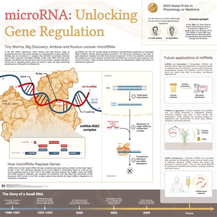 Unlocking Gene Secrets: How David W Alter Powers Biological Discovery