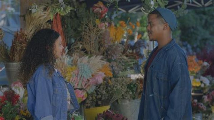 Unpacking the Enduring Charm of Maureen Jomha and Her Namesake