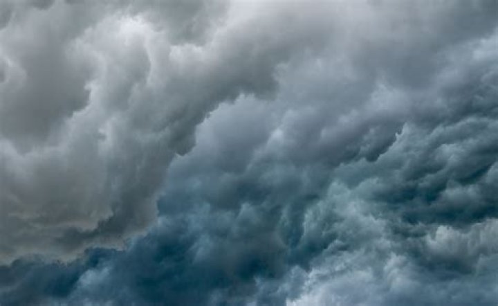 Unpacking the Phenomenon of Viral Kant: What Makes Stories Catch Fire Online?