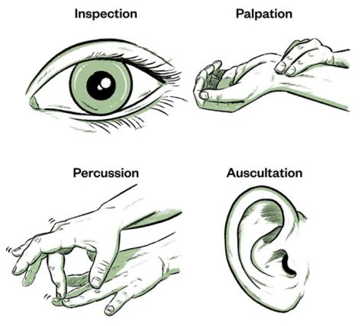 Unraveling the Mystery of ippa 010054: Your Guide to Digital Identifiers