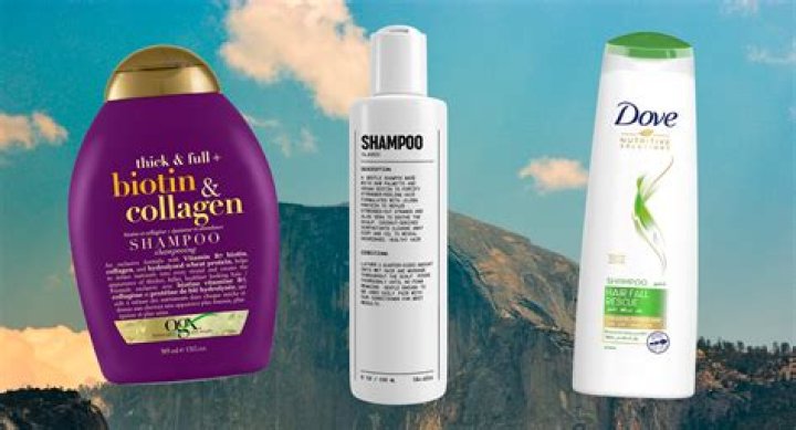 Unveiling The Best Shampoo For Hairfall: Discoveries And Insights