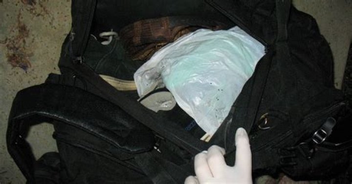 Unveiling The Creative Alchemy Of Julie Kibuishi And Sam Herr