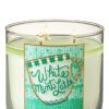 Bath & Body Works Wick Candle White Mint Latte